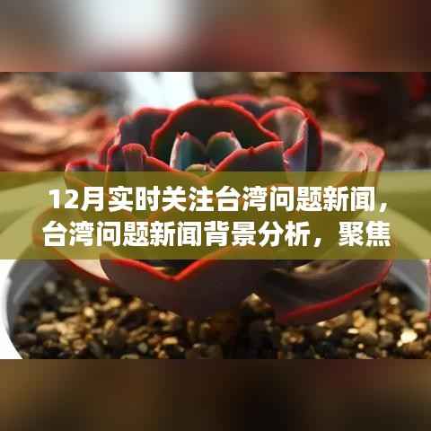 聚焦台湾问题新闻，十二月实时动态与深层影响分析