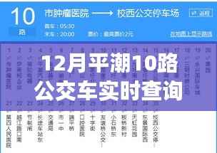 从新手到熟练者,12月平潮10路公交车实时查询完全指南