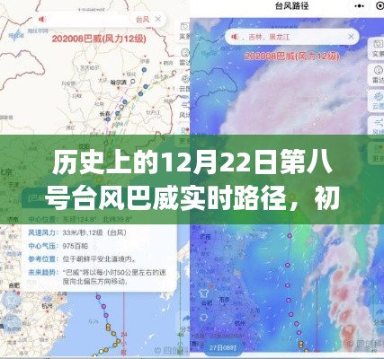历史上的第8号台风巴威实时路径解析与查询,初学者与进阶用户指南