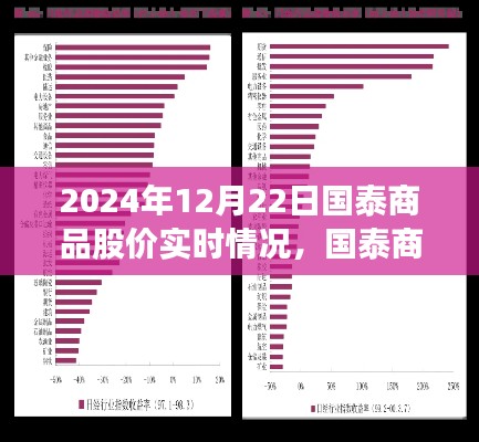 国泰商品股价实时动态,聚焦2024年12月22日的股市风云分析
