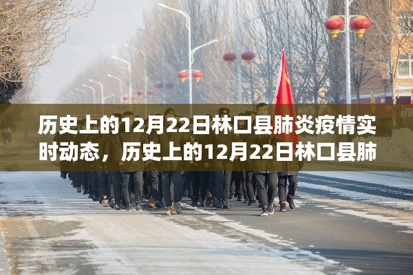 历史上的12月22日林口县肺炎疫情实时动态,回顾与启示的启示录