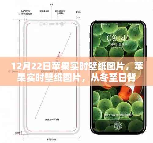 冬至流行文化印记,苹果实时壁纸图片精选,从冬至背景到时尚潮流展现