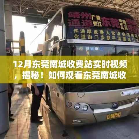 揭秘东莞南城收费站实时视频,观看指南与实用教程