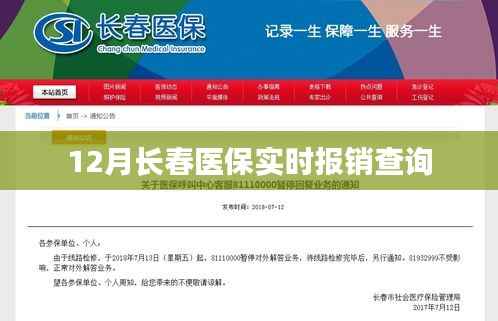 长春医保实时报销查询指南