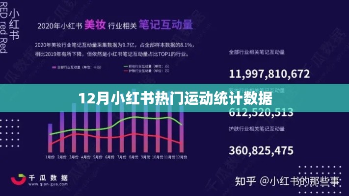 小红书运动数据榜单出炉,揭秘十二月热门运动风潮