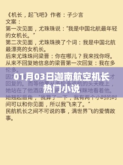 迦南航空机长小说,揭秘一月三日事件