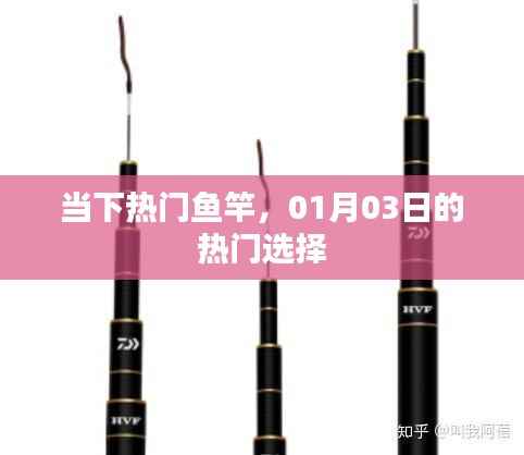 当下热门鱼竿推荐,一月精选之选