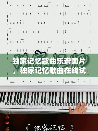 独家记忆歌曲乐谱图片,独家记忆歌曲在线试听