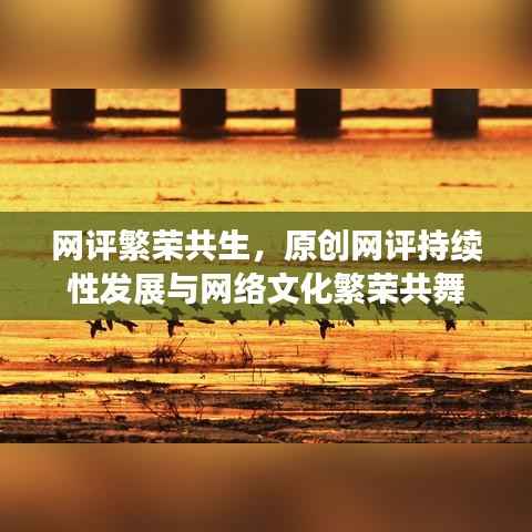 网评繁荣共生,原创网评持续性发展与网络文化繁荣共舞