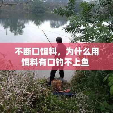 不断口饵料,为什么用饵料有口钓不上鱼