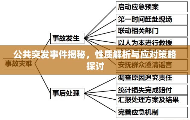 公共突发事件揭秘,性质解析与应对策略探讨