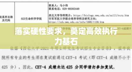 落实硬性要求，奠定高效执行力基石