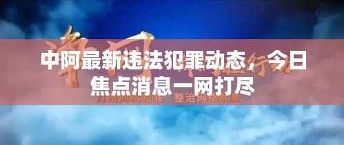 中阿最新违法犯罪动态，今日焦点消息一网打尽