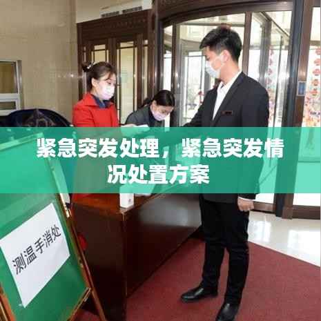 紧急突发处理,紧急突发情况处置方案