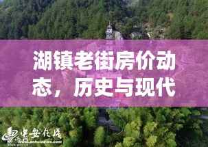 湖镇老街房价动态,历史与现代交融的房地产最新走势
