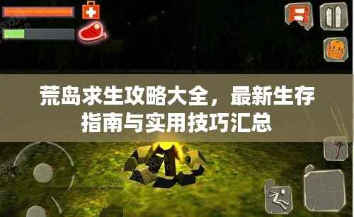 荒岛求生攻略大全,最新生存指南与实用技巧汇总