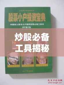 炒股必备工具揭秘，最新股价走势图表解析助你洞悉市场动态