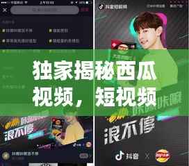 独家揭秘西瓜视频,短视频时代的极致体验