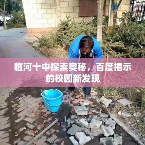 临河十中探索奥秘，百度揭示的校园新发现
