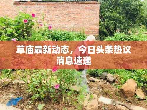 草庙最新动态,今日头条热议消息速递