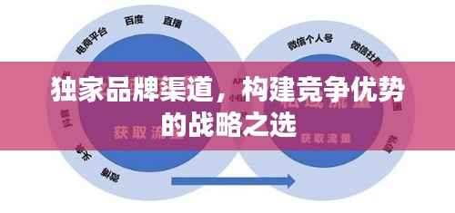 独家品牌渠道,构建竞争优势的战略之选