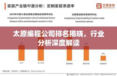 太原编程公司排名揭晓,行业分析深度解读