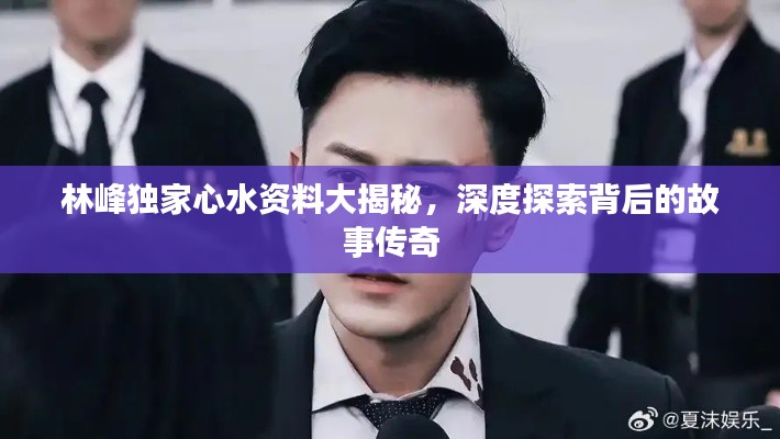 林峰独家心水资料大揭秘,深度探索背后的故事传奇