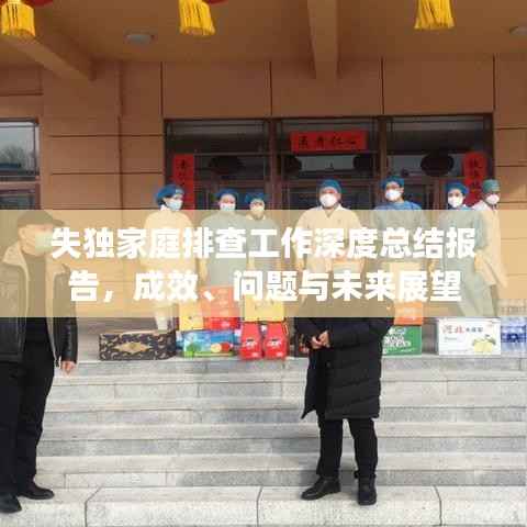 失独家庭排查工作深度总结报告,成效、问题与未来展望