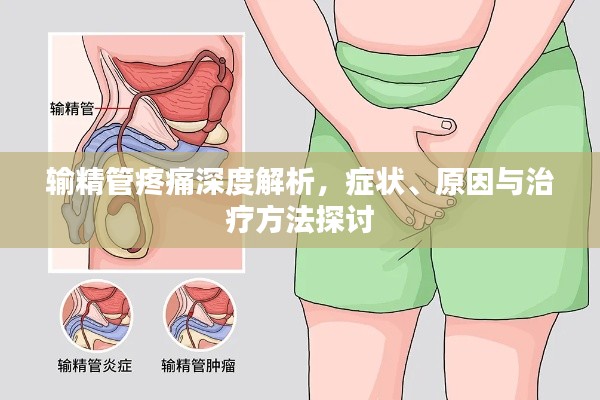 输精管疼痛深度解析,症状、原因与治疗方法探讨