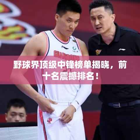 野球界顶级中锋榜单揭晓,前十名震撼排名!