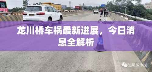 龙川桥车祸最新进展,今日消息全解析
