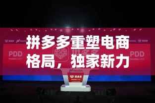 拼多多重塑电商格局,独家新力量崛起
