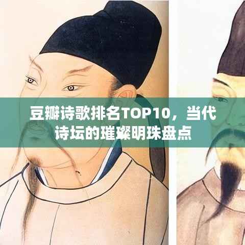 豆瓣诗歌排名TOP10，当代诗坛的璀璨明珠盘点