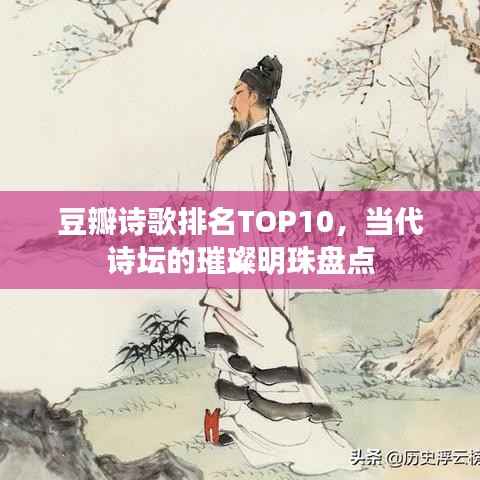 豆瓣诗歌排名TOP10,当代诗坛的璀璨明珠盘点