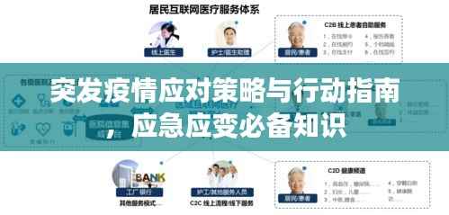 突发疫情应对策略与行动指南,应急应变必备知识