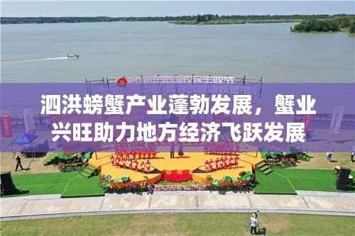 泗洪螃蟹产业蓬勃发展,蟹业兴旺助力地方经济飞跃发展