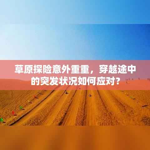 草原探险意外重重,穿越途中的突发状况如何应对?