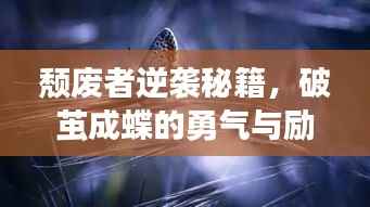 颓废者逆袭秘籍，破茧成蝶的勇气与励志语录