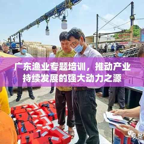 广东渔业专题培训,推动产业持续发展的强大动力之源