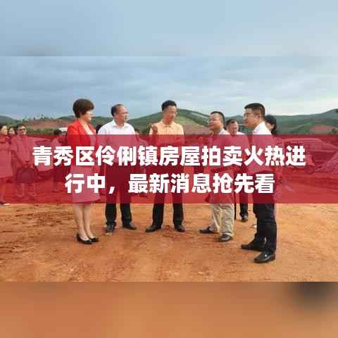 青秀区伶俐镇房屋拍卖火热进行中，最新消息抢先看