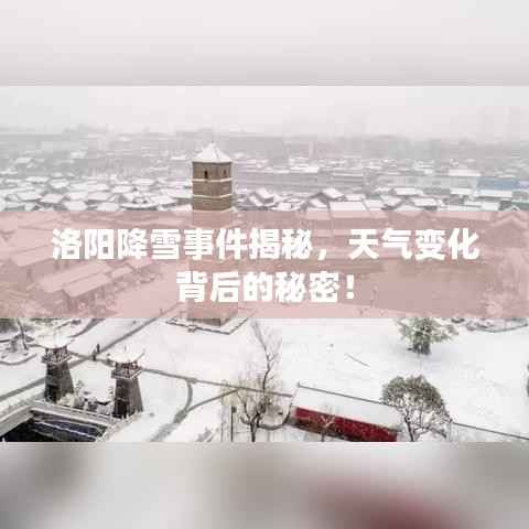 洛阳降雪事件揭秘，天气变化背后的秘密！