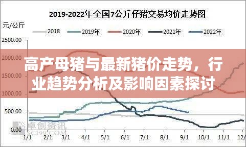 高产母猪与最新猪价走势,行业趋势分析及影响因素探讨