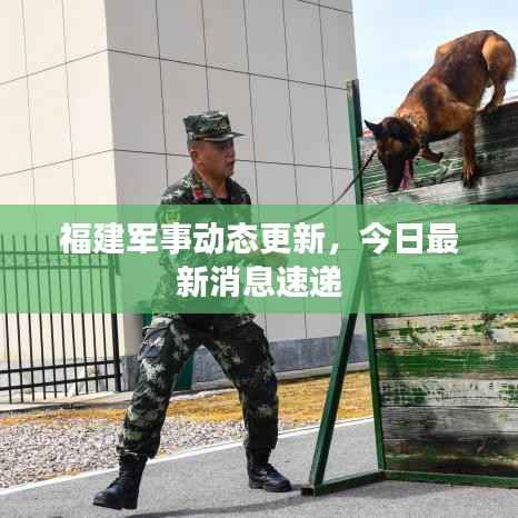 福建军事动态更新,今日最新消息速递
