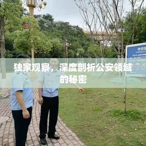 独家观察,深度剖析公安领域的秘密