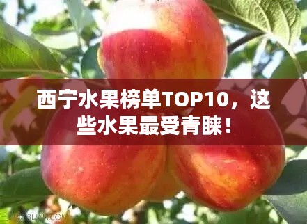 西宁水果榜单TOP10,这些水果最受青睐!