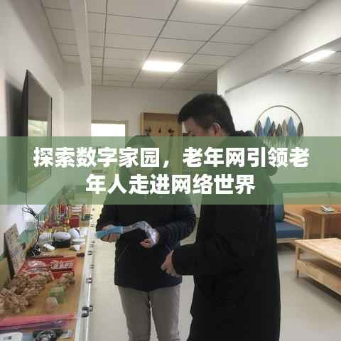 探索数字家园,老年网引领老年人走进网络世界