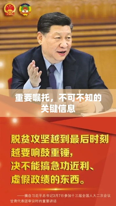 重要嘱托,不可不知的关键信息