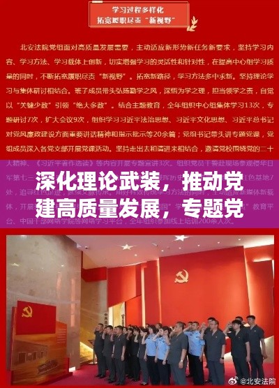 深化理论武装,推动党建高质量发展,专题党建材料引领新征程