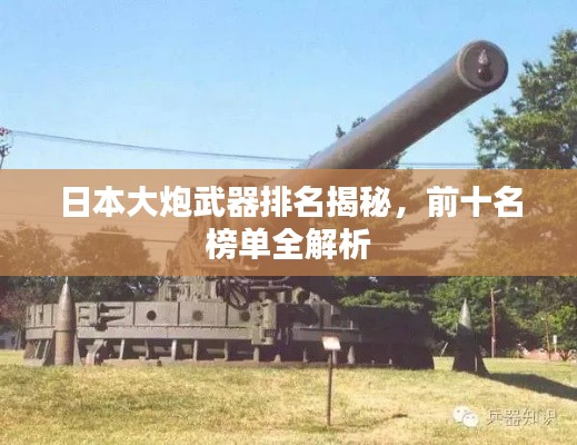 日本大炮武器排名揭秘,前十名榜单全解析