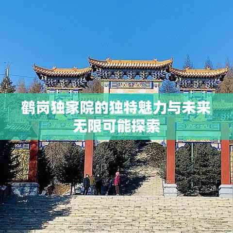 鹤岗独家院的独特魅力与未来无限可能探索